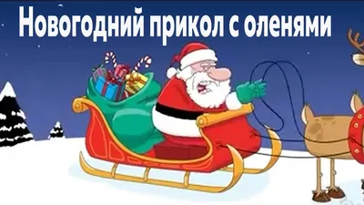 Дед Мороз не настоящий- Смешные стихи про деда Мороза- Смешные стихи про  Новый Год- Чёрный юмор- MAA2- ХОХМОДРОМ