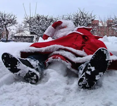 КОНКУРС: Дед Мороз и Снегурочка 2008