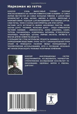 Инженер и ракета - Стальмахов В. Подробное описание экспоната, аудиогид,  интересные факты. Официальный сайт Artefact