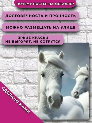 Смешные картинки, шутки, и прочее о лошадях и не только | Страница 5 |  KoniClub.pro