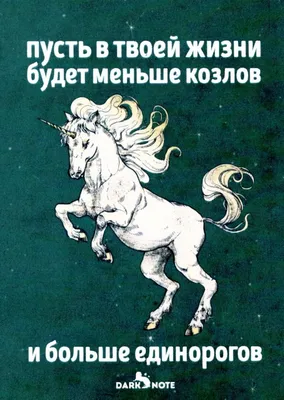 Взяли на вырост 🤪 | Приколы про лошадей! [P•Horse] | ВКонтакте