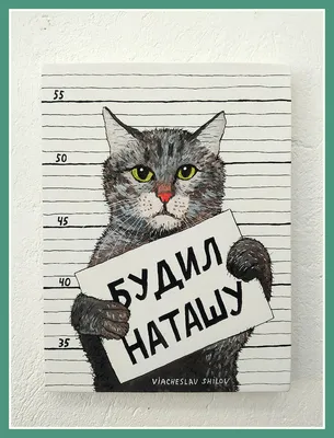 Котиков обижать не рекомендуется, Наталья Михайловна Дым – скачать книгу  fb2, epub, pdf на ЛитРес