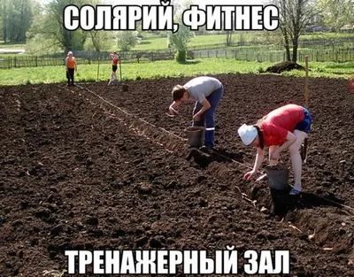 https://pikabu.ru/story/ogorodnyie_prikolyi_11015697
