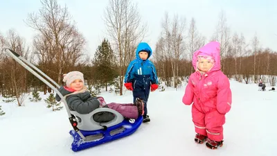 Зима: смешные открытки о холодном времени года - Новый год, снег, холод |  Обозреватель