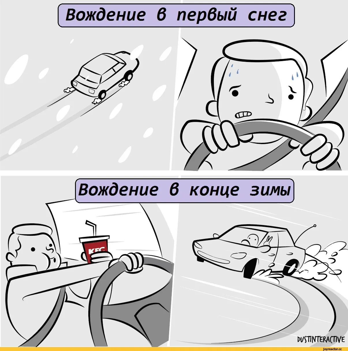 Сдала на права картинки прикольные