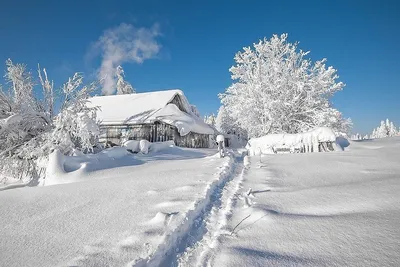 Про первый снег и зимние забавы | Свято-Eлисаветинский монастырь | Дзен