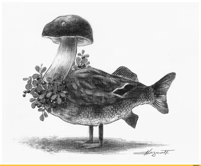 Универсальная добыча / птицы :: ягоды :: рыба :: грибы / смешные картинки и  другие приколы: комиксы, гиф анимация, видео, лучший интеллектуальный юмор.