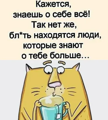 Без женщин все деньги в мире не имели бы смысла — FUN24.ORG — Прикольные  фото, смешные картинки, юмор