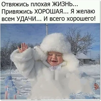 Добрый зимний день картинки прикольные с юмором (42 фото) » Красивые  картинки, поздравления и пожелания - Lubok.club