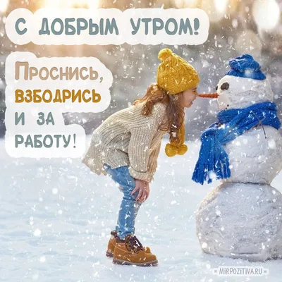 Пин от пользователя Татьяна Сальникова на доске Зима | Смешные счастливые  дни рождения, Счастливые картинки, Доброе утро