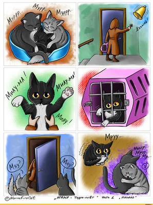 Первый выпуск Комикса! / firecat_tattoo :: firecat :: комиксы на русском ::  котэ (прикольные картинки с кошками) :: Смешные комиксы (веб-комиксы с  юмором и их переводы) / смешные картинки и другие приколы: