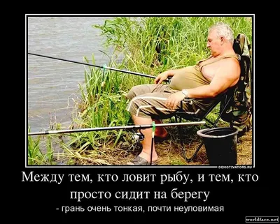 Весёлые Картинки и Карикатуры. Про Рыбалку.#1/ Funny Pictures and Cartoons  About Fishing - YouTube