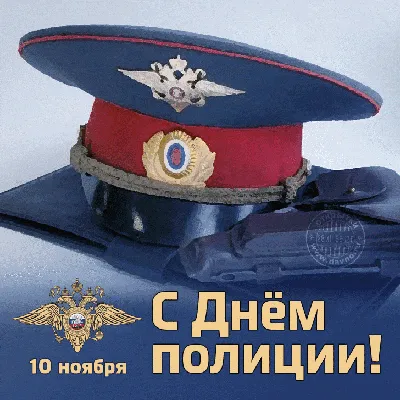 Поздравления с днем полиции гаишнику - лучшая подборка открыток в разделе:  Профессиональные праздники на npf-rpf.ru