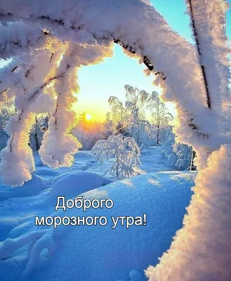 прикольные видео с добрым утром в морозы｜Поиск в TikTok