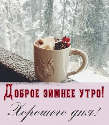 Доброе морозное утро (Много фото) - treepics.ru