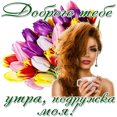 Прикольная открытка на день рождения подруге - Фотографии, картинки, места  - pictx.ru