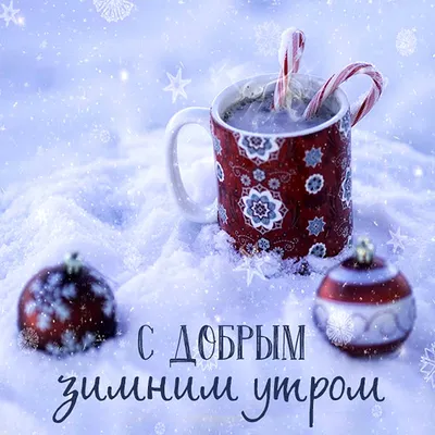 Прикольная открытка \"Доброго зимнего утра!\" с синичкой на ветке рябины •  Аудио от Путина, голосовые, музыкальные