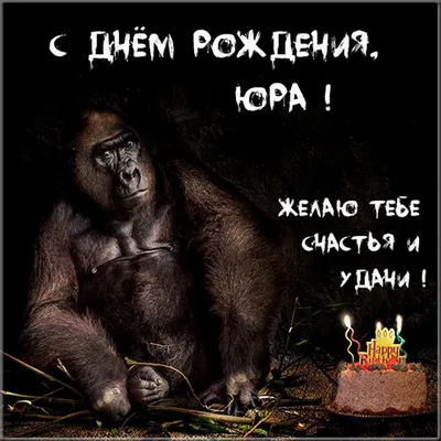 Картинка прикол с днем рождения Юра Версия 2 - поздравляйте бесплатно на  otkritochka.net