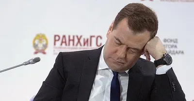 компания / песочница политоты :: Медведев :: медведь :: политика  (политические новости, шутки и мемы) / картинки, гифки, прикольные комиксы,  интересные статьи по теме.