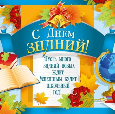День знаний 1 сентября: лучшие, красивые и прикольные открытки с надписями  к празднику - МК Новосибирск