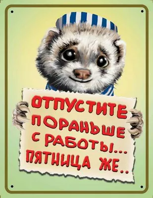 Смешные картинки про работу. До слёз! 55 изображений с надписями