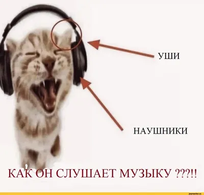 Мужчина в белых наушниках слушает музыку и делает смешное лицо Стоковое  Изображение - изображение насчитывающей радио, модель: 157507735