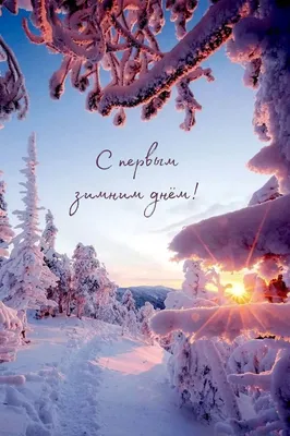 С первым днем зимы: прикольные и красивые картинки к 1 декабря - МК  Новосибирск
