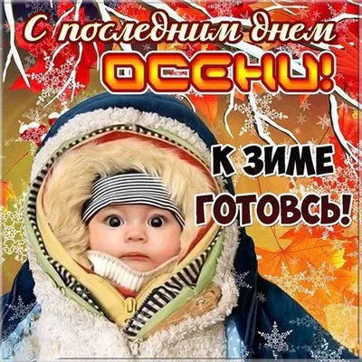 Последний день осени | Смешные открытки, Открытки, Счастливые картинки