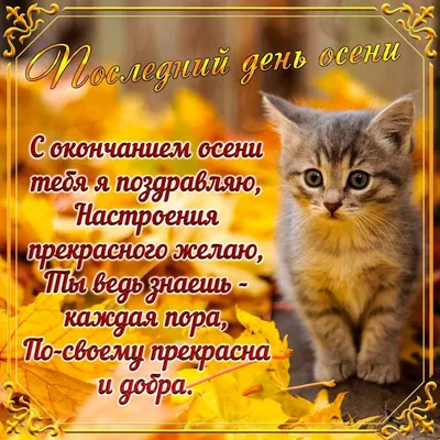 Прикольные картинки с последним днем осени фотографии