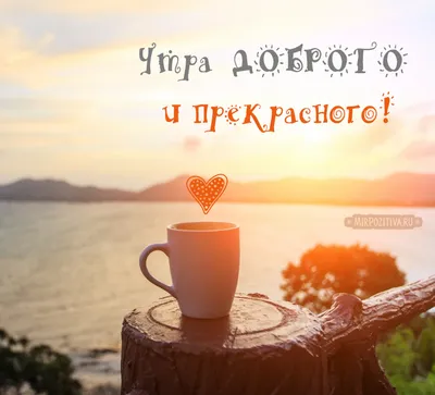 Доброе осеннее утро!🍁☕️