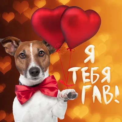 Открытки на День Святого Валентина с животными - скачайте бесплатно на  Davno.ru
