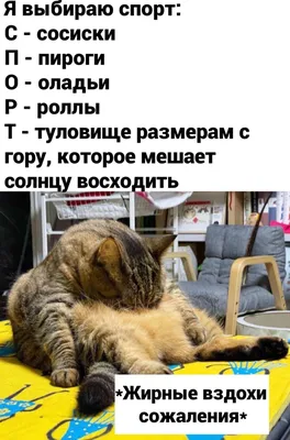 Скоро лето… | Пикабу