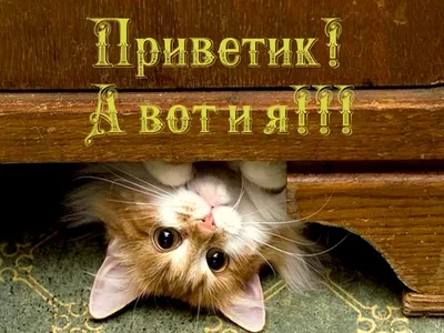 Прикольная открытка на день сына — Slide-Life.ru