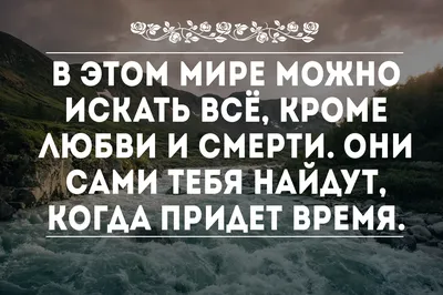 Смысл жизни, 2018 — описание, интересные факты — Кинопоиск