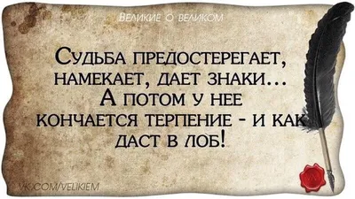 Веселые картинки со смыслом с надписями (43 фото) » Юмор, позитив и много  смешных картинок