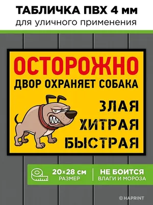 Смешная табличка осторожно во дворе злая собака на дверь Haprint 40551707  купить за 304 ₽ в интернет-магазине Wildberries