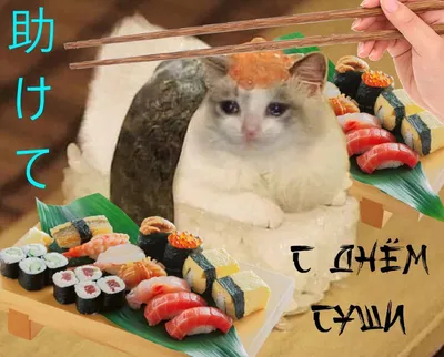 Прикольные суши с котиком — Аватары и картинки