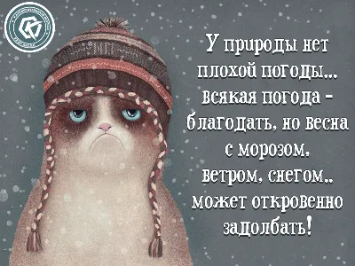 У природы нет плохой погоды.. | Привет, декабрь, Погода, Смешные открытки