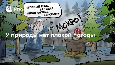 Идеи на тему «У природы нет плохой погоды» (52) | доброе утро, открытки,  погода