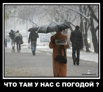 У природы нет плохой погоды 1- Стихи про дождь- Карикатуры, фото- Петя  Камушкин- ХОХМОДРОМ