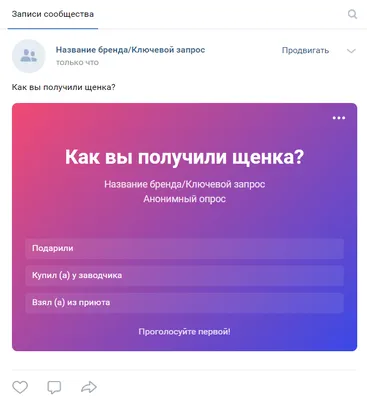 Как сделать опрос в ВК в группе или сообществе, на личной странице и в  беседе - Блог об email и интернет-маркетинге