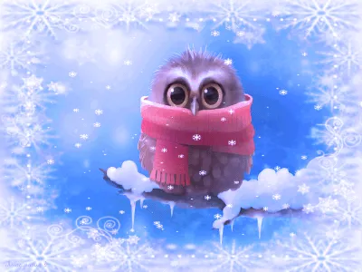 Зимние холода. Зима картинки. Что-то стало холодать. Прикольный зимний  рисунок с мерзнущей совой.