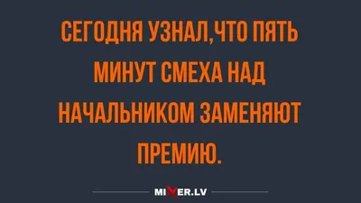 Гражданин начальник (сериал, 1 сезон, все серии), 2001 — смотреть онлайн в  хорошем качестве — Кинопоиск