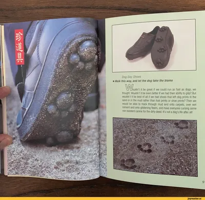 Ролики на обувь RAZOR Jetts пурпурный с искрами - универсальный размер -  для детей и подростков купить по цене 3990 ₽ в интернет-магазине Детский мир