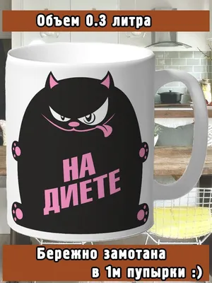 BOMMAN Прикольная канцелярия котики и фитнес мемы