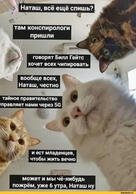 Татарстан :: Россия :: страны / прикольные картинки, мемы, смешные комиксы,  гифки - интересные посты на JoyReactor / новые посты - страница 3