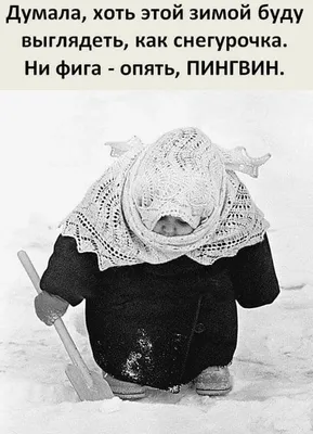 Пин от пользователя Настя Кузеванова на доске открытки | Смешные  высказывания, Веселые мысли, Смешные открытки
