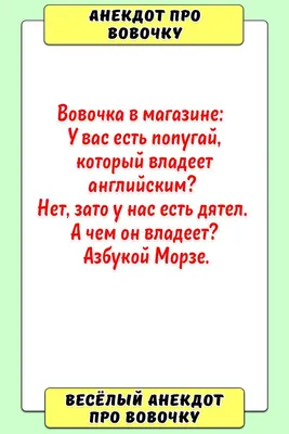 Анекдоты про Вовочку: 50+ самых смешных и любимых шуток