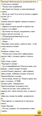 анекдоты про вовочку :: анекдот / смешные картинки и другие приколы:  комиксы, гиф анимация, видео, лучший интеллектуальный юмор.