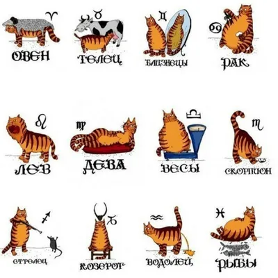 Рыбы. Pisces. Смешные афоризмы про знаки зодиака. Funny aphorisms about the  signs of the zodiac. | Pisces, Horoscope, Astrology